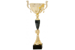 Cupă Standard - 4400 A